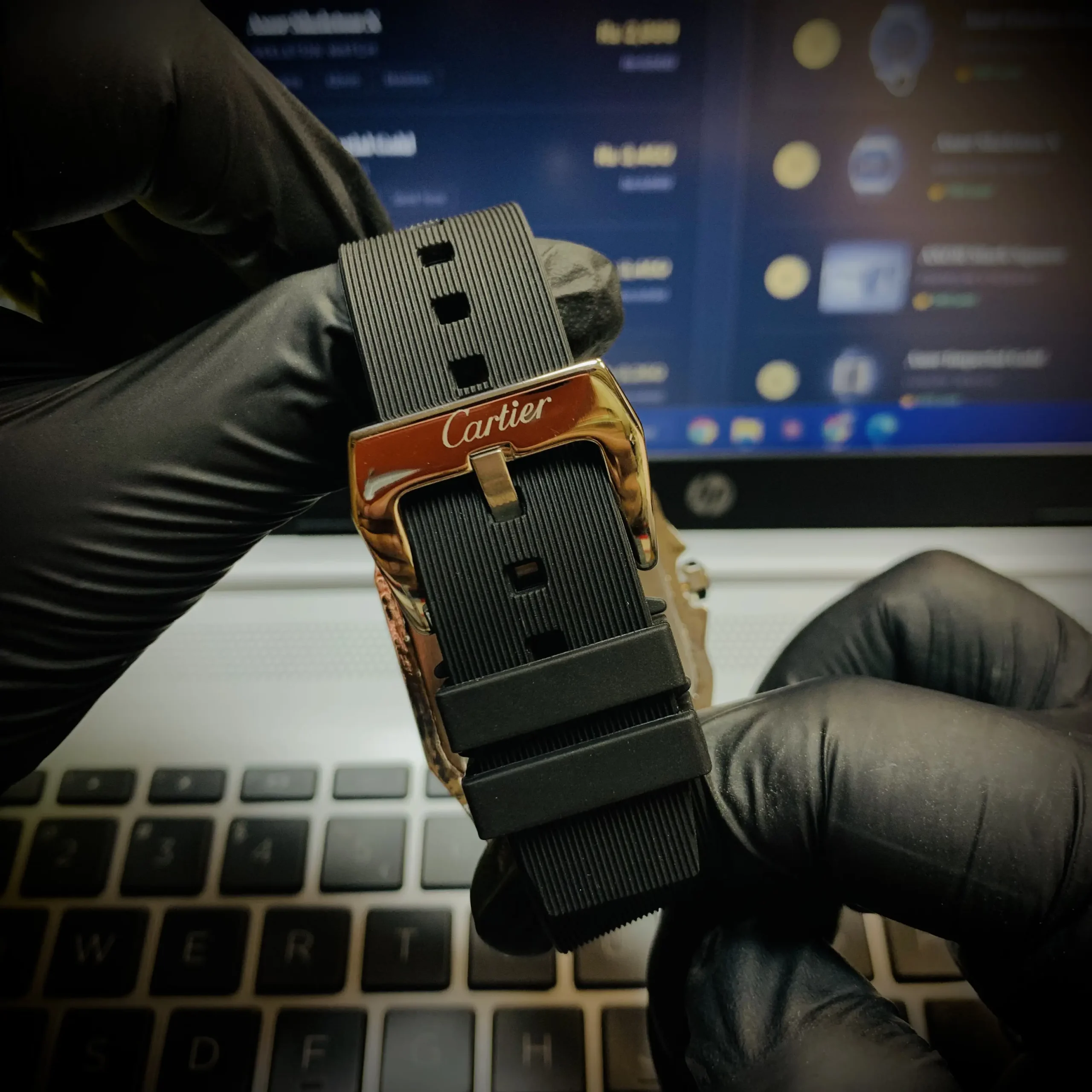 Exhibition Caseback